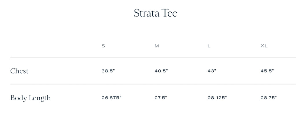 Tracksmith Men's Strata Tee - Navy/Ivory/Gold